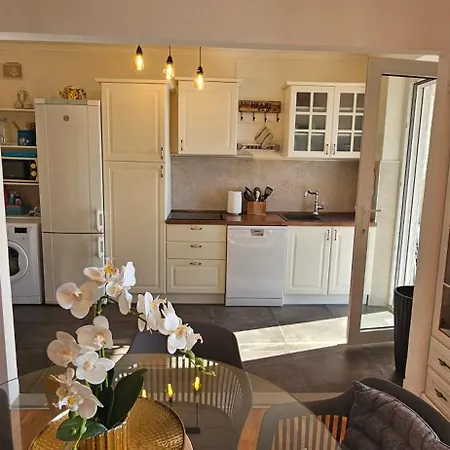 Dubrovniks Views From A Spacious Terrace *